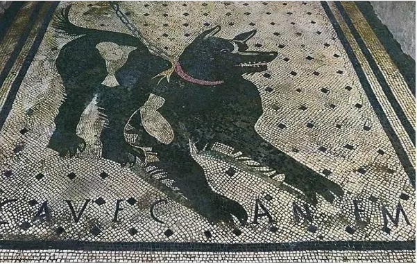 Cave Canem